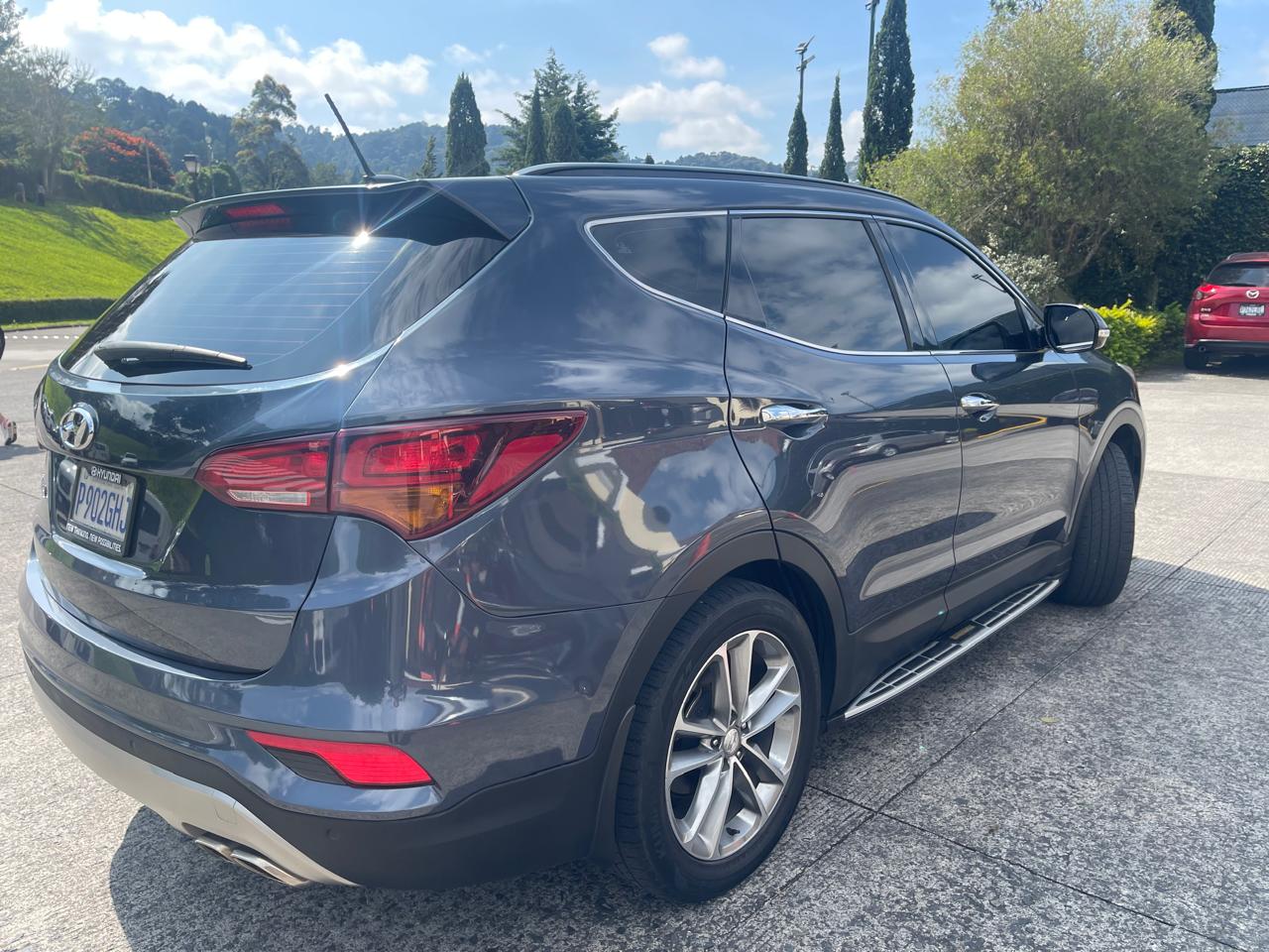 Genesis Owl Experience 1