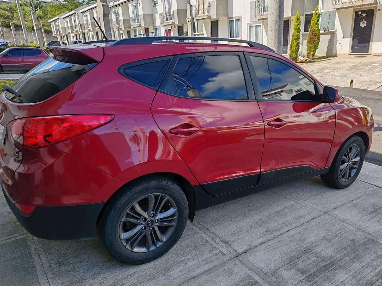 Genesis Owl Experience 10