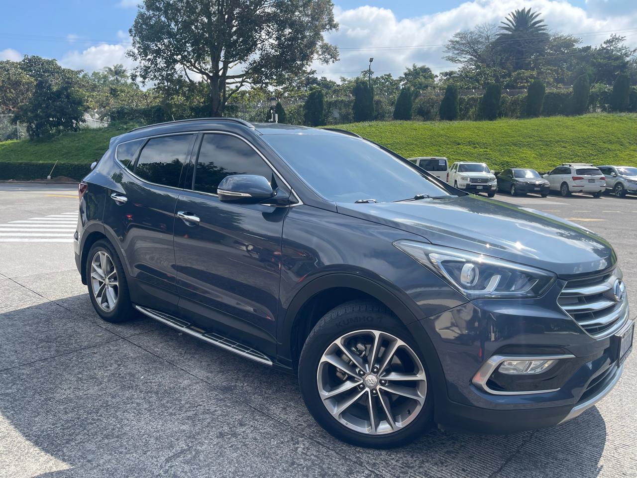 Genesis Owl Experience 2